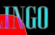 ویژگی و کاربرد نرم افزار لینگو