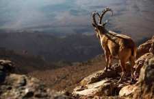 پارک ملی کلاه قاضی اصفهان