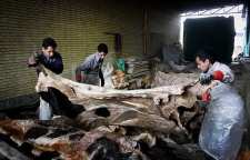 چرم سازی کرمانشاه