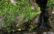 آبشار لادیز میرجاوه استان زاهدان