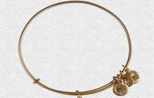 دستبند ZEBRA برای ایجاد امنیت رایانه