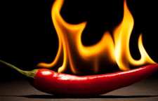 کاربرد و داستان ضرب المثل فلفل نبین چه ریزه بشکن ببین چه تیزه