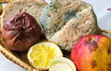 علت کپک زدن مواد غذایی