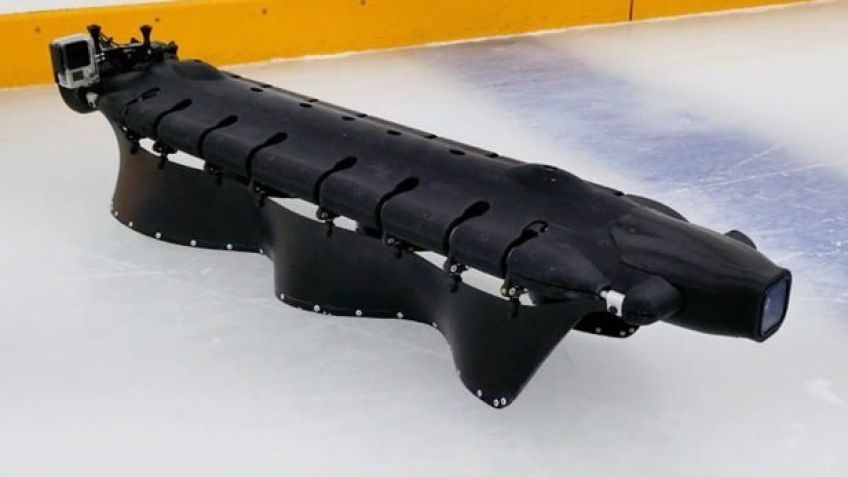 ابداع یک ربات خزنده‌ با توانایی اسکیت روی یخ