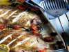 نحوه پخت غذای دریایی ماهی حلوایی