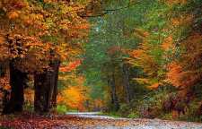 تغییرات عجیب و جالب پاییزی