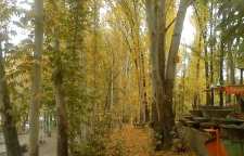 پارک جنگلی طرق مشهد یکی از بزرگترین پارک‌ های جنگلی ایران