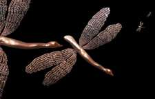 سنجاق و گل سینه های جواهر از برند بوچلاتی