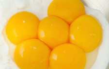 از خواص زرده تخم مرغ چه می دانید