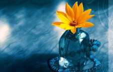 دعا برای خیر دنیا و آخرت