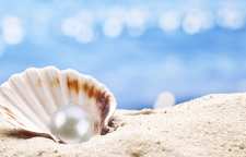 مروارید چگونه تشکیل می شود