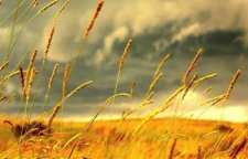 حدیث امام جواد علیه السلام درباره زیارت مرقد حضرت معصومه سلام الله