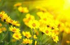 حدیث امام کاظم علیه السلام درباره احسان و نیکوکاری