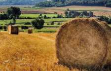 ریشه و کاربرد ضرب المثل آب زیرکاه