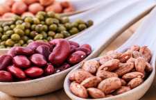 بهترین منابع غذایی پروتئین گیاهی