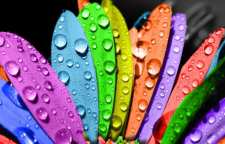 توصیه هایی برای ست کردن رنگ لباس کودک