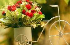 حدیث پیامبر صلی الله علیه و آله درباره نگاه کردن