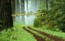 آشنایی با جنگل های استوایی