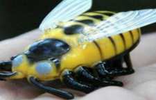 زنبور رباتیک حیرت انگیز