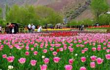 باغ گل روستای گرماب استان البرز