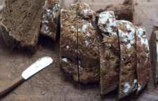 آموزش طبخ نان سبوس دار یا نان سیاه