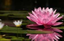 شعر زیبای هوسناک از رهی معیری