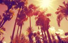 چرا رنگ اجسام در آفتاب تغییر می کند