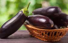 کاربرد و ریشه ضرب المثل بادنجان دور قاب چین