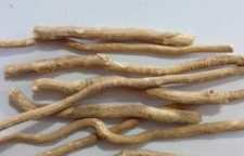 استفاده کردن از پودر مسواک گیاهی بوعلی به جای خمیردندان های شیمیایی