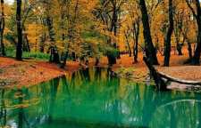 چشمه لال گلستان