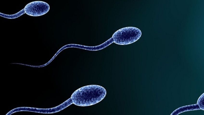 دلایل ضعیف بودن اسپرم و راهکاری برای تقویت آن