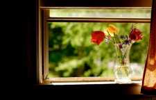 شعر و غزل زیبای باد صبح از خاقانی شروانی