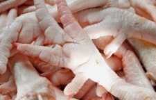 پای مرغ درمان درد استخوانی