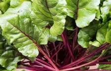 با خواص برگ چغندر آشنا شویم