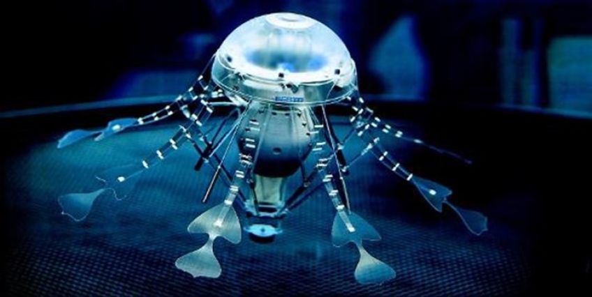 نجات اقیانوس ها با ربات عروس دریایی