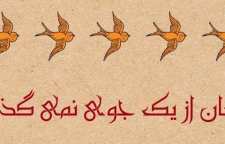 کاربرد و ریشه ضرب المثل آبشان از یک جوی نمی رود