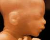 جنین از چند ماهگی قادر به شنیدن صدای اطرافیان است