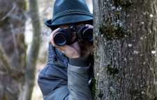 معنی و ریشه واژه و اصطلاح ستون پنجم