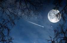 شعر زیبا و عاشقانه همواره تویی از فریدون مشیری شاعر معاصر