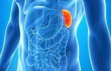 دلایل بزرگ شدن طحال  و علائم آن چیست