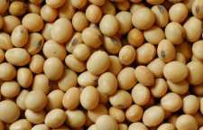 از خواص آجیل سویا چه می دانید