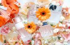 عطر و ادکلن های مناسب برای فصل بهار