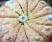 آموزش تهیه کیک شنی با بافتی نرم یکى از محبوب ترین کیک های عصرانه در کشورهاى عربی و ترکیه