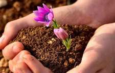 قانون کارما چیست