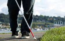 شعر زیبای نابینا و ستمگر از رهی معیری شاعر معاصر