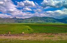 دشت مغان اردبیل دشت همیشه بهار ایران