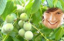 روش های جرم گیری دندان با پوست گردو و دیگر روش های ساده خانگی