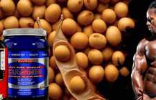 فواید پروتئین سویا در بدنسازی و عضله سازی