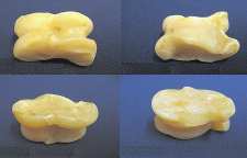 ریشه و کاربرد ضرب المثل بز بیاری