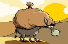 داستان و کاربرد ضرب المثل خر بیار و باقالی بار کن